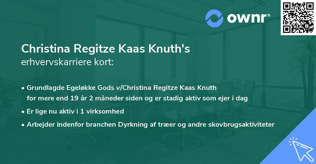 Christina Regitze Kaas Knuth's erhvervskarriere kort