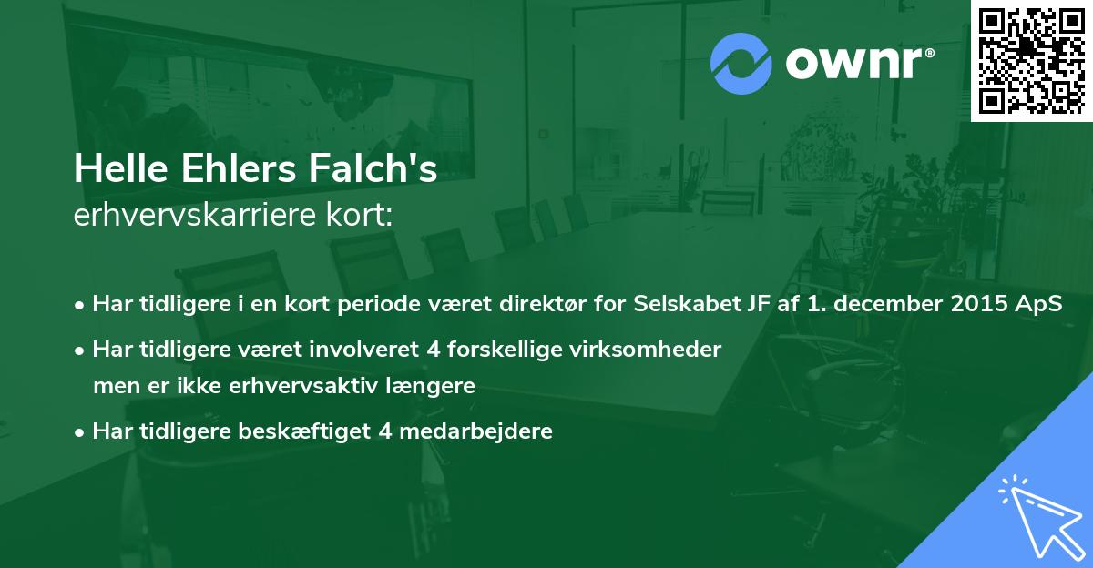 Helle Ehlers Falch's erhvervskarriere kort