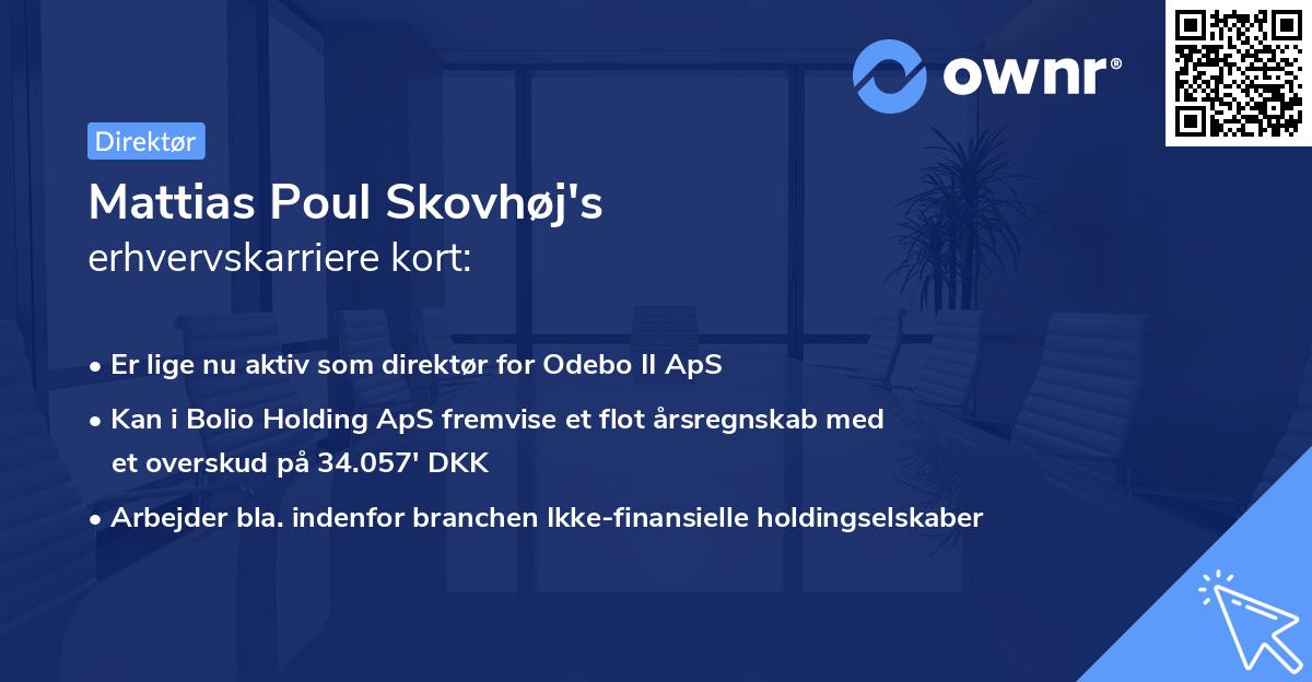 Mattias Poul Skovhøj's erhvervskarriere kort