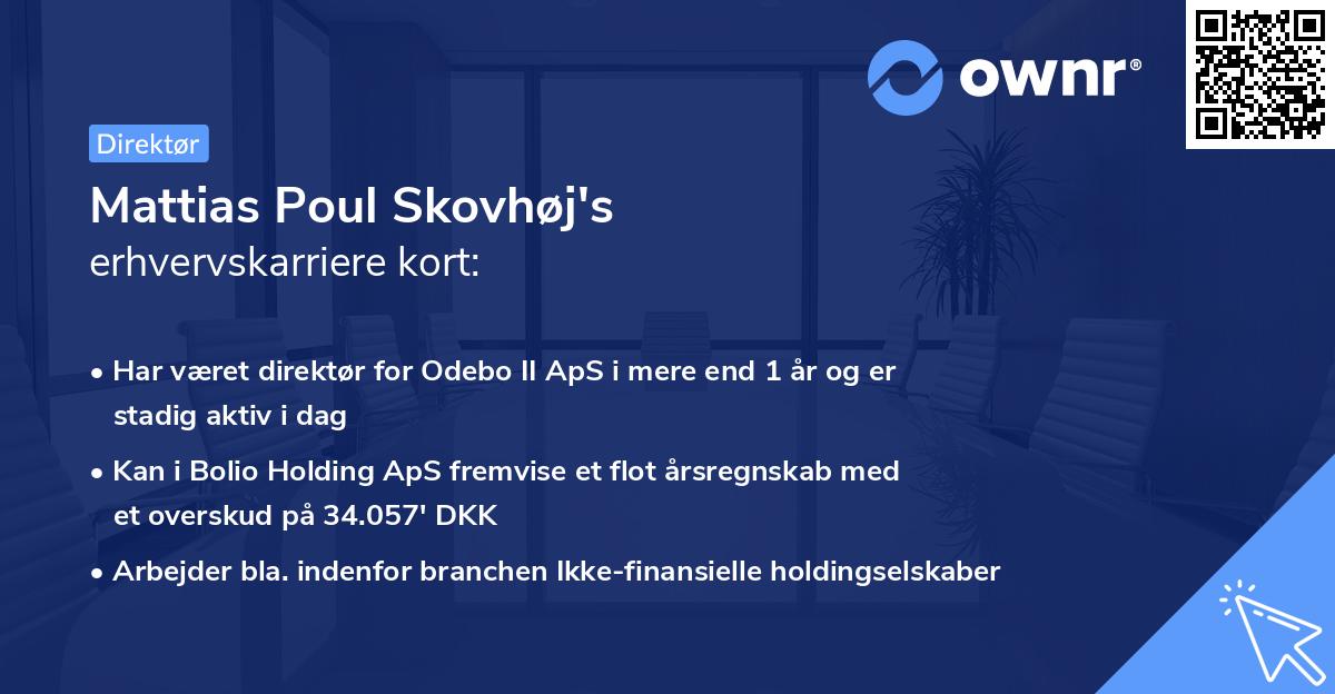 Mattias Poul Skovhøj's erhvervskarriere kort