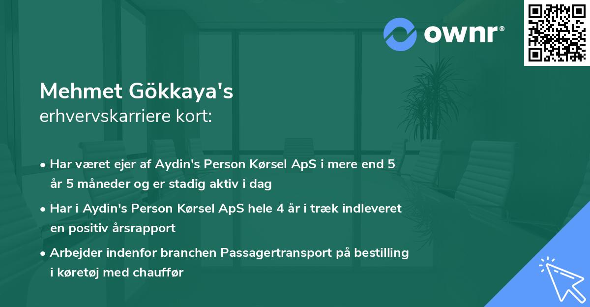 Mehmet Gökkaya's erhvervskarriere kort