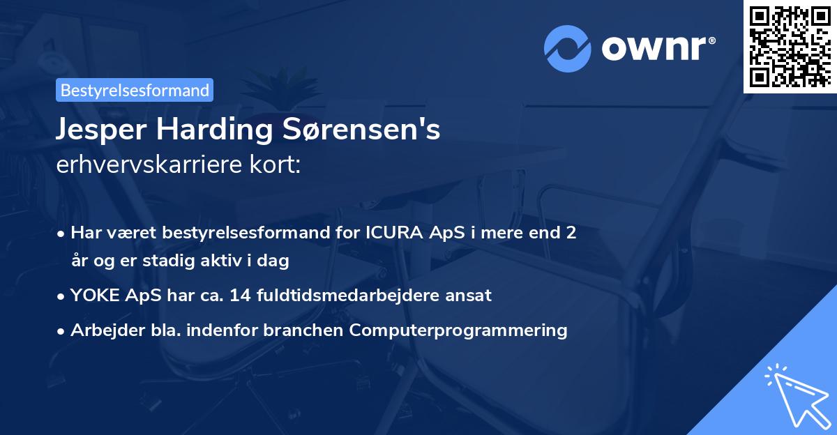 Jesper Harding Sørensen's erhvervskarriere kort