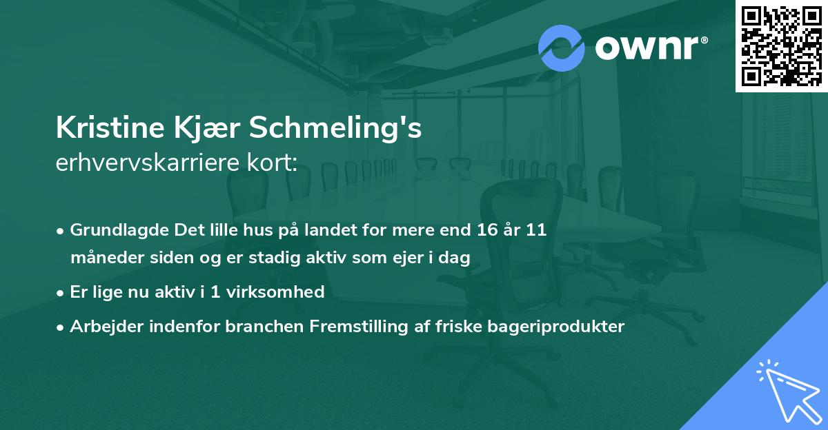 Kristine Kjær Schmeling's erhvervskarriere kort