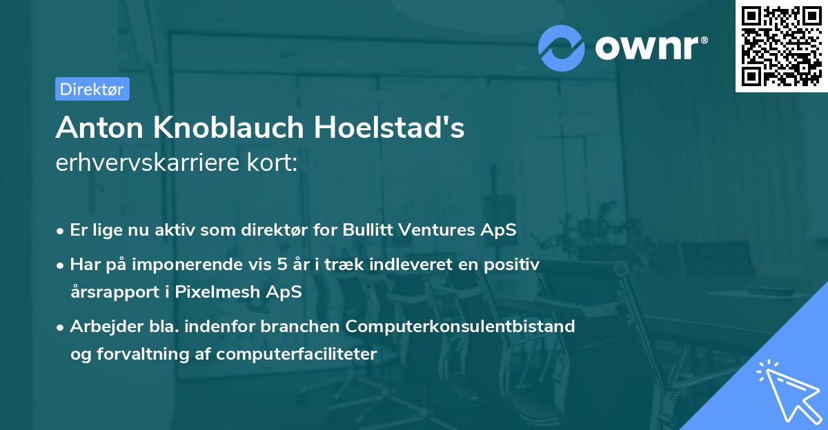 Anton Knoblauch Hoelstad's erhvervskarriere kort