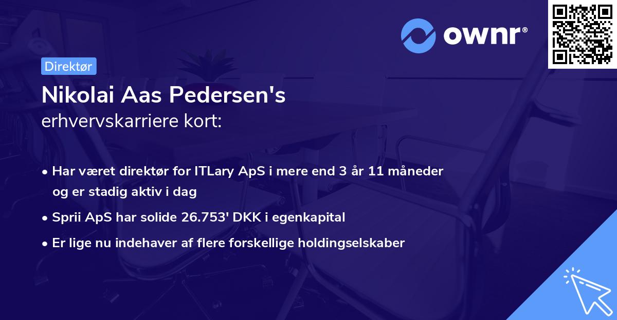 Nikolai Aas Pedersen's erhvervskarriere kort