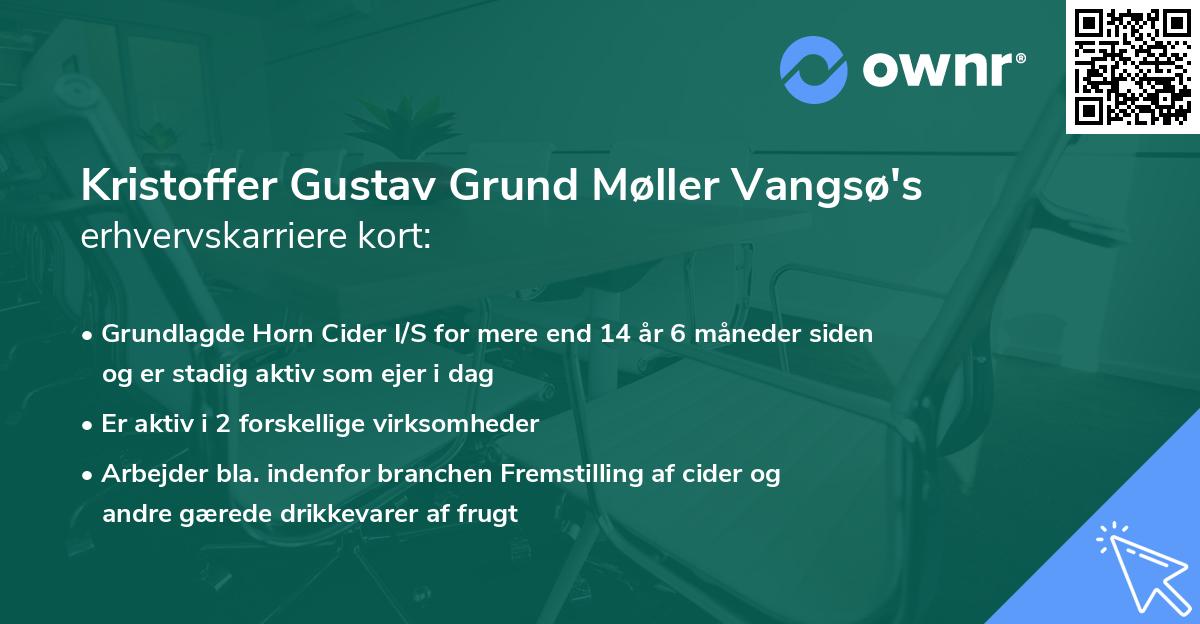 Kristoffer Gustav Grund Møller Vangsø's erhvervskarriere kort