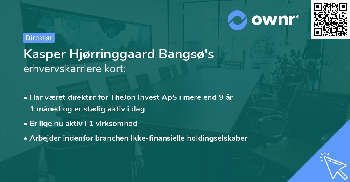 Kasper Hjørringgaard Bangsø's erhvervskarriere kort