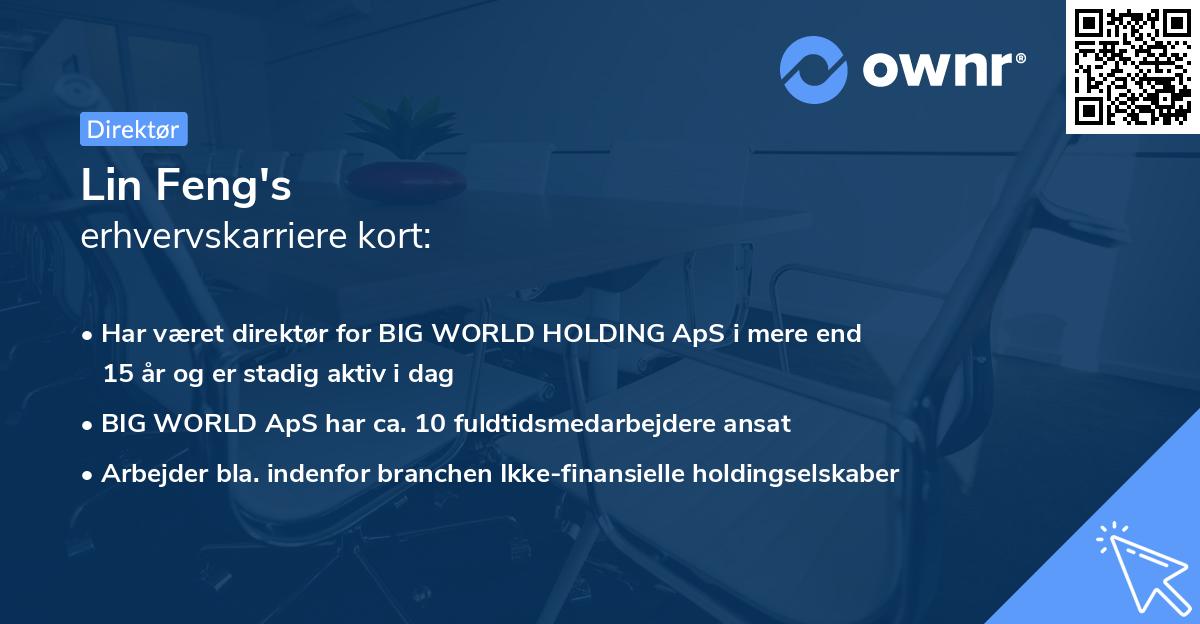 Lin Feng's erhvervskarriere kort