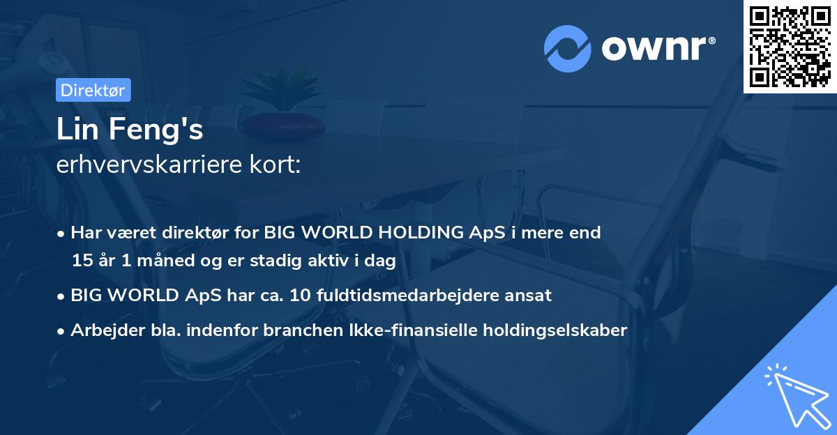 Lin Feng's erhvervskarriere kort