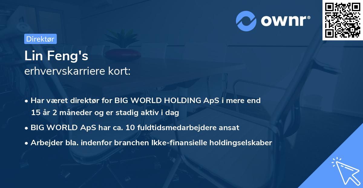 Lin Feng's erhvervskarriere kort