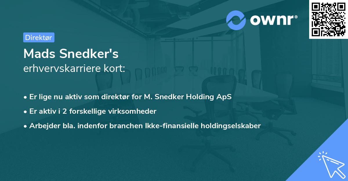 Mads Snedker's erhvervskarriere kort