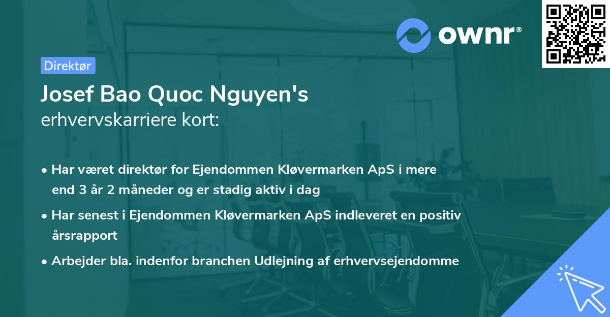 Josef Bao Quoc Nguyen's erhvervskarriere kort