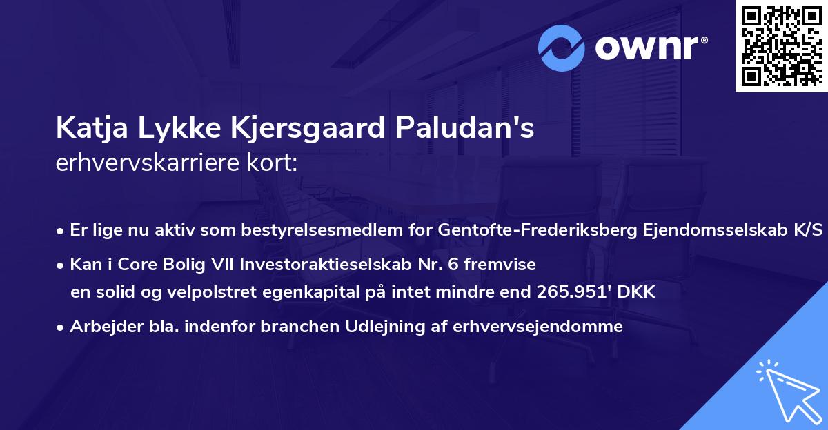 Katja Lykke Kjersgaard Paludan's erhvervskarriere kort
