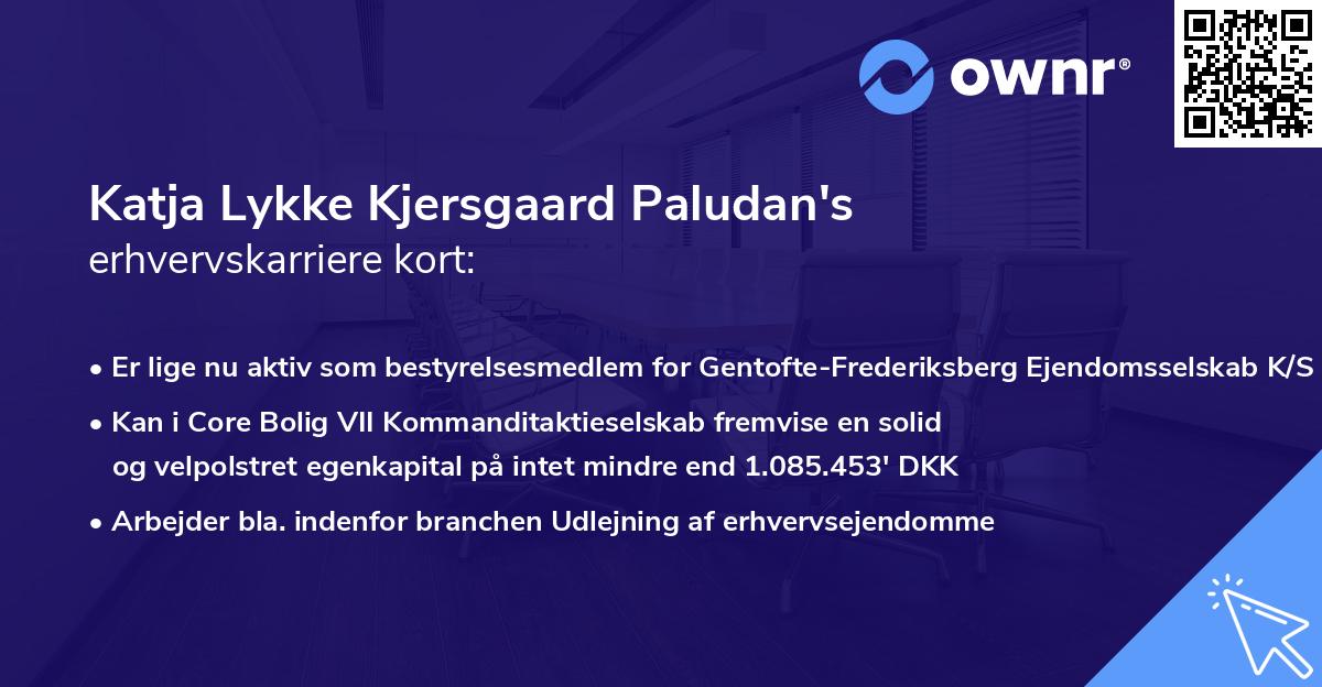 Katja Lykke Kjersgaard Paludan's erhvervskarriere kort