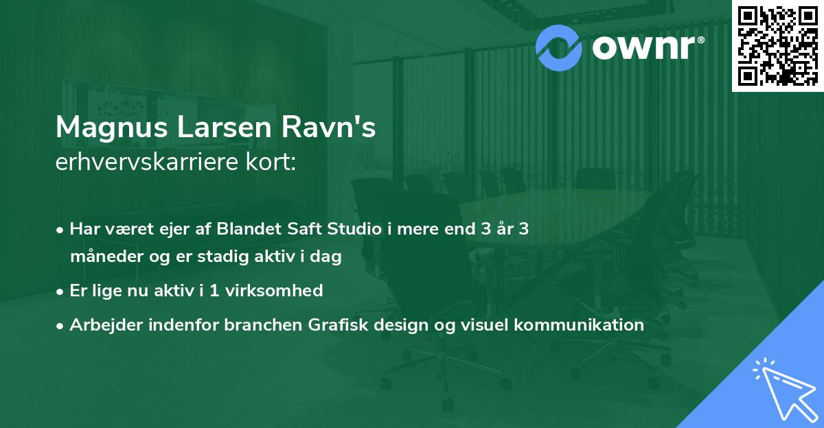 Magnus Larsen Ravn's erhvervskarriere kort