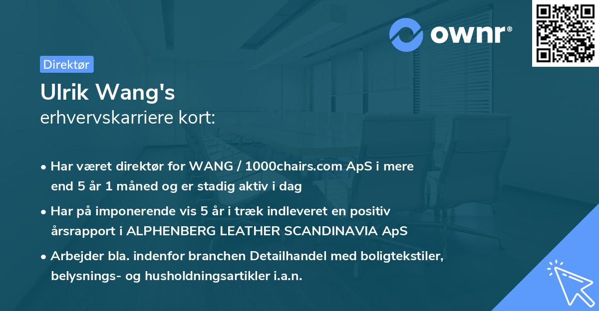 Ulrik Wang's erhvervskarriere kort