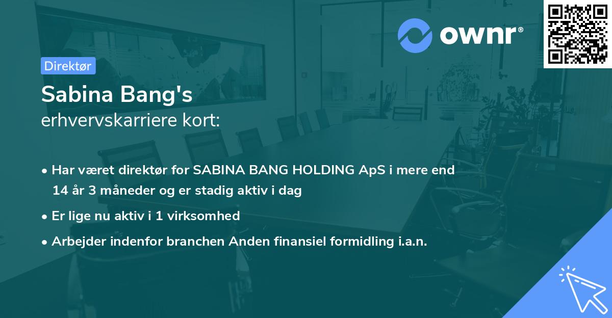Sabina Bang's erhvervskarriere kort