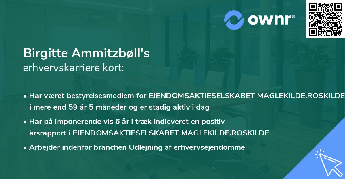 Birgitte Ammitzbøll's erhvervskarriere kort
