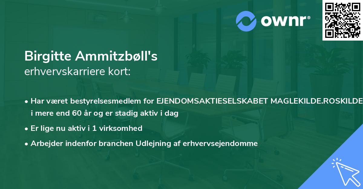 Birgitte Ammitzbøll's erhvervskarriere kort