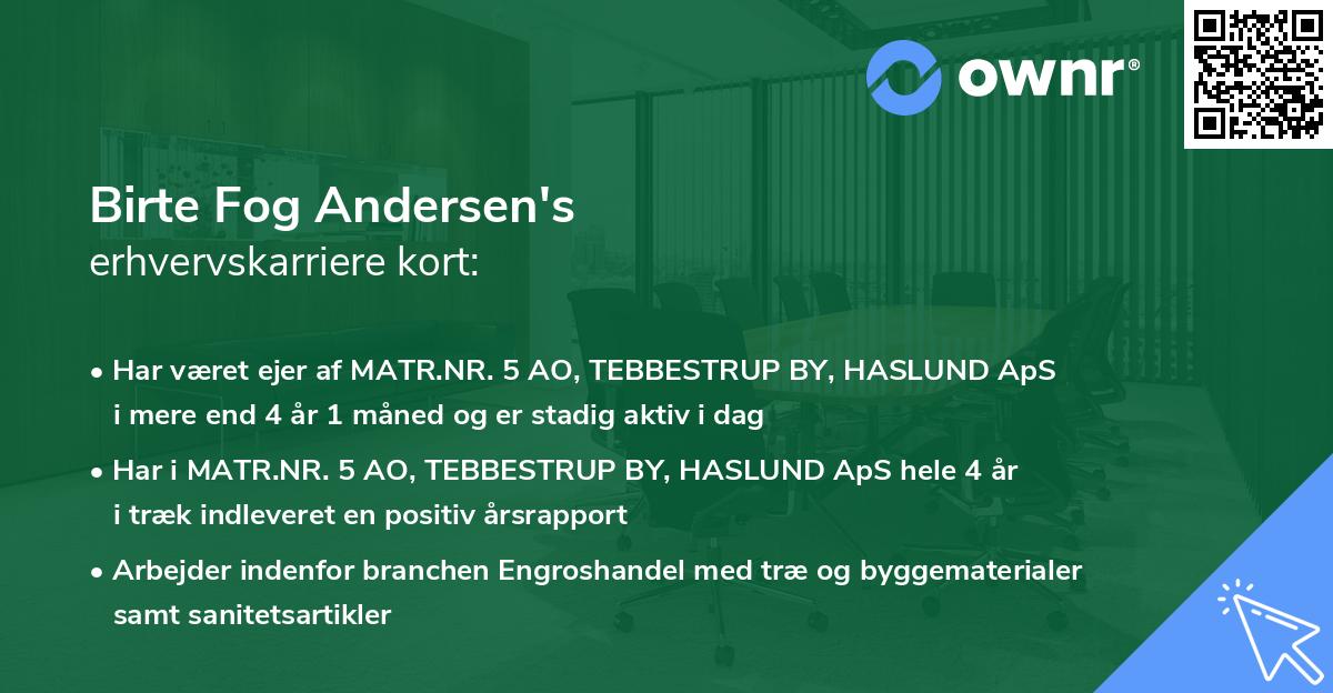 Birte Fog Andersen's erhvervskarriere kort