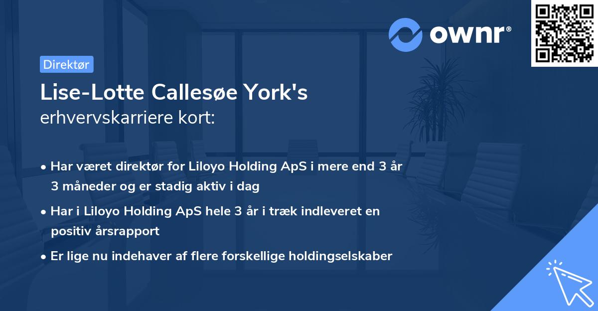 Lise-Lotte Callesøe York's erhvervskarriere kort