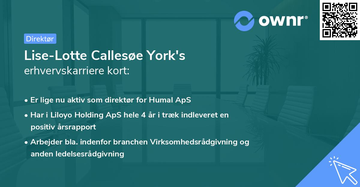 Lise-Lotte Callesøe York's erhvervskarriere kort