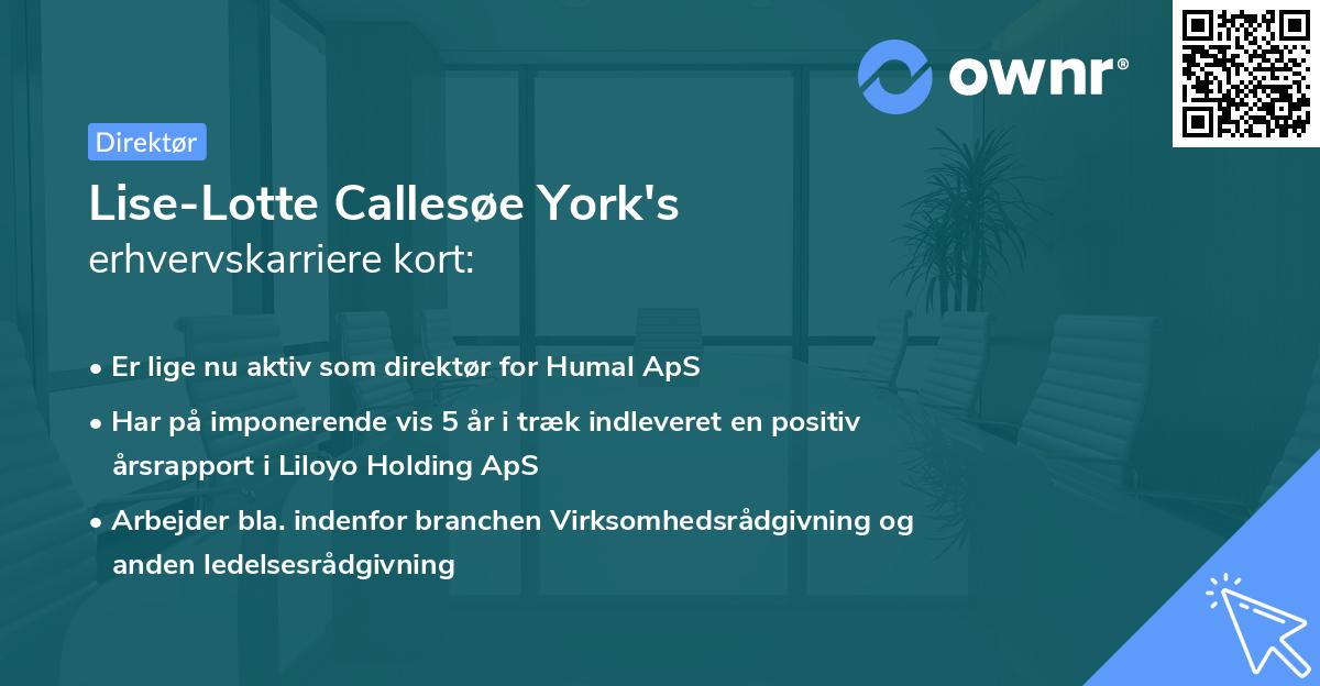 Lise-Lotte Callesøe York's erhvervskarriere kort