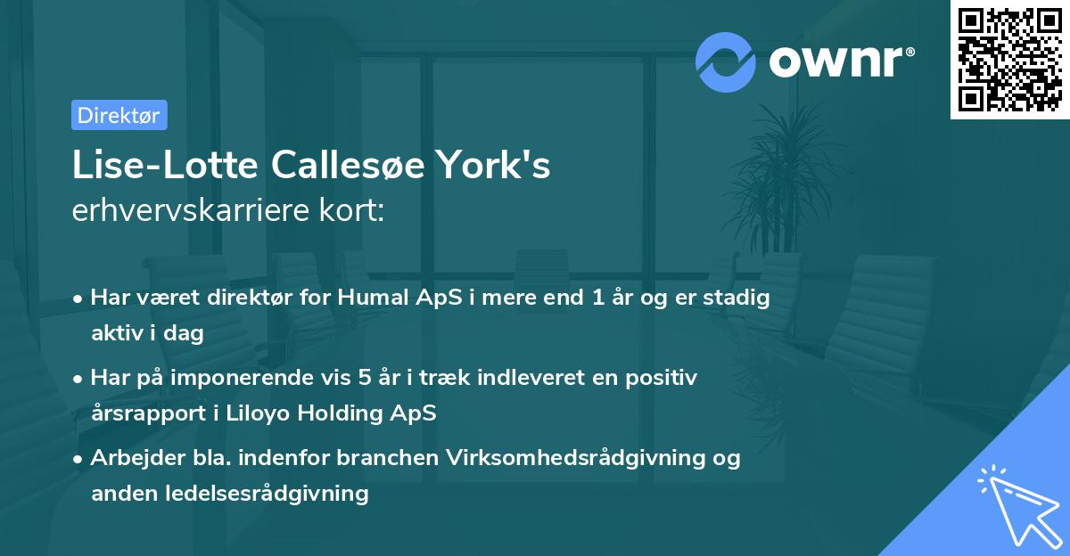 Lise-Lotte Callesøe York's erhvervskarriere kort