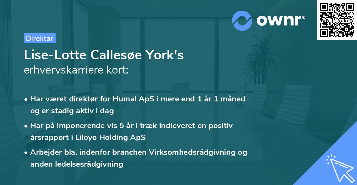 Lise-Lotte Callesøe York's erhvervskarriere kort