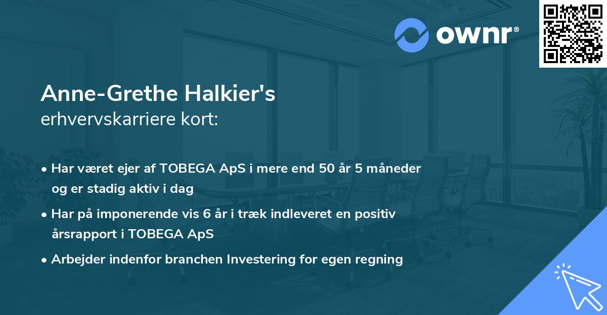 Anne-Grethe Halkier's erhvervskarriere kort
