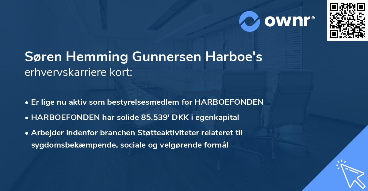 Søren Hemming Gunnersen Harboe's erhvervskarriere kort