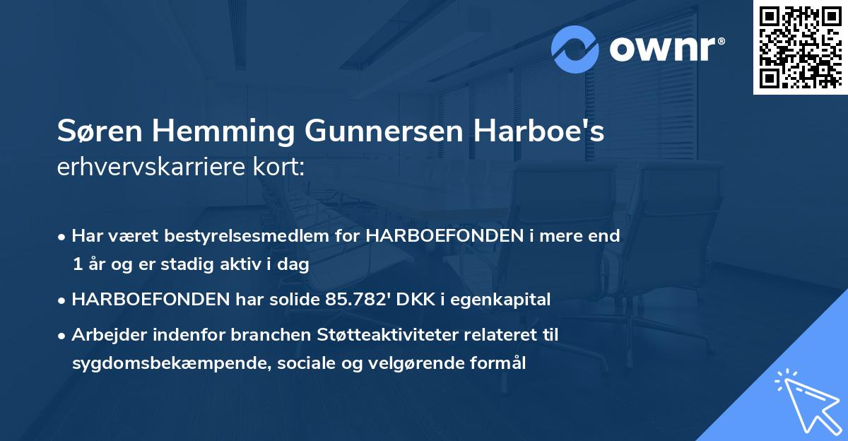 Søren Hemming Gunnersen Harboe's erhvervskarriere kort