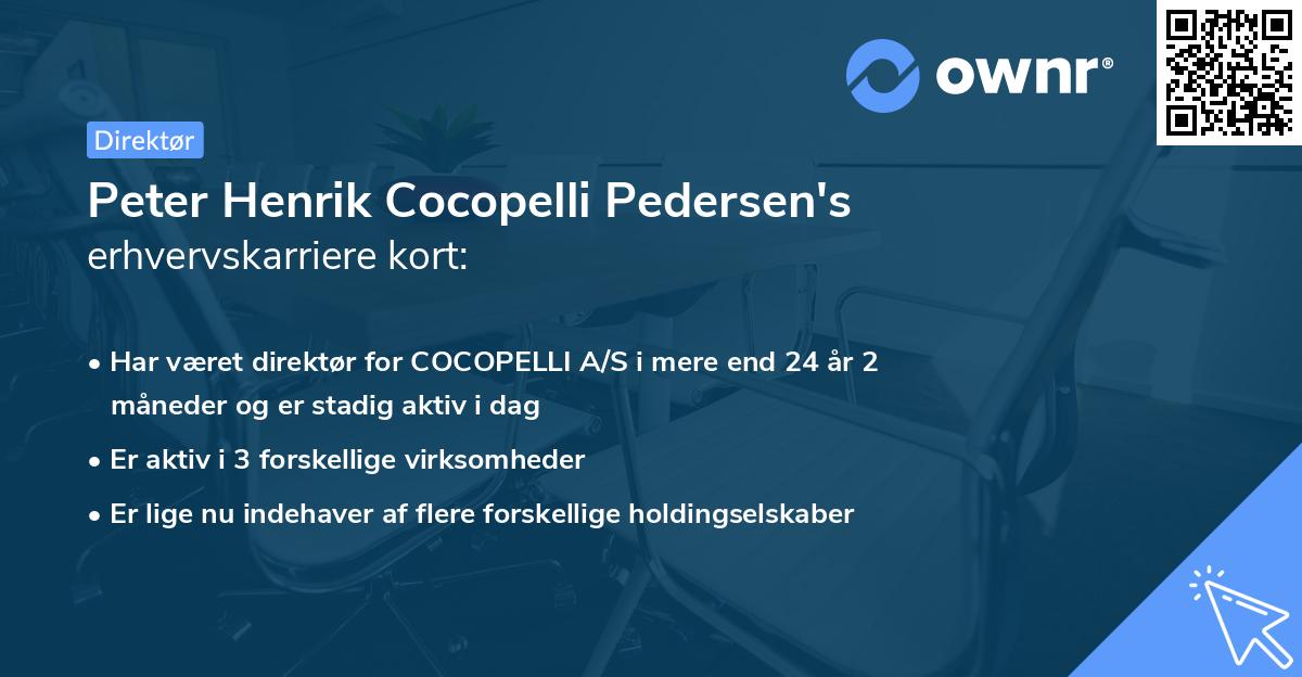 Peter Henrik Cocopelli Pedersen's erhvervskarriere kort