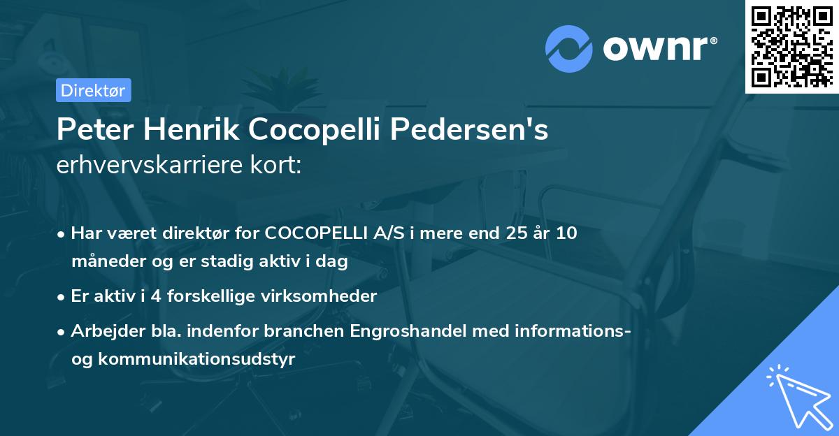 Peter Henrik Cocopelli Pedersen's erhvervskarriere kort
