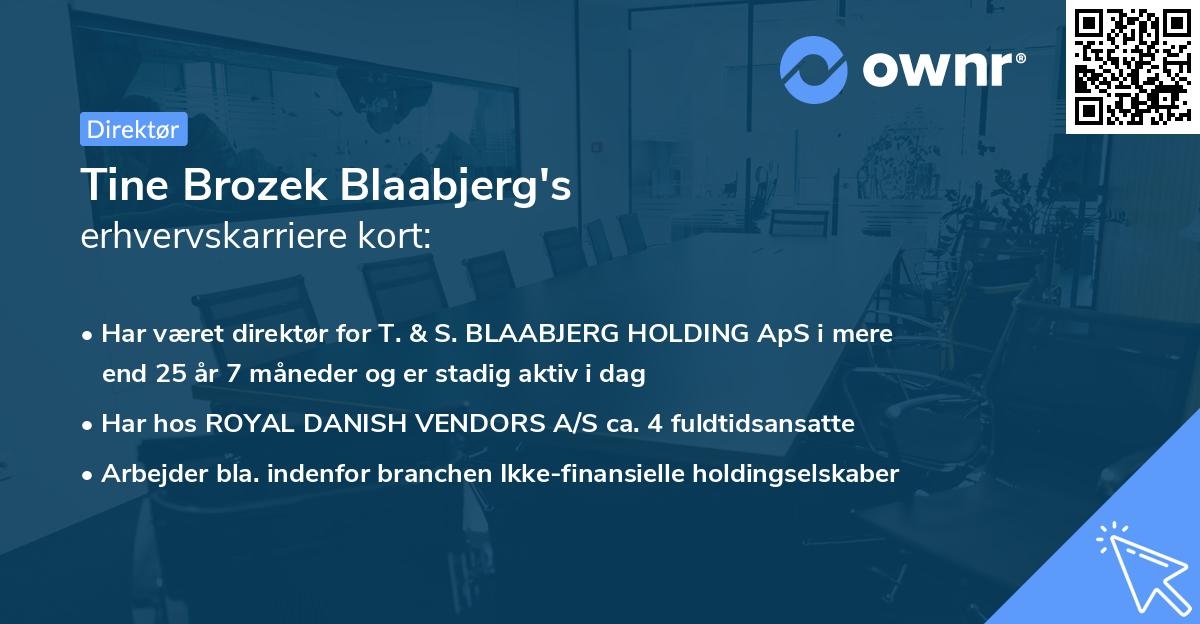 Tine Brozek Blaabjerg's erhvervskarriere kort