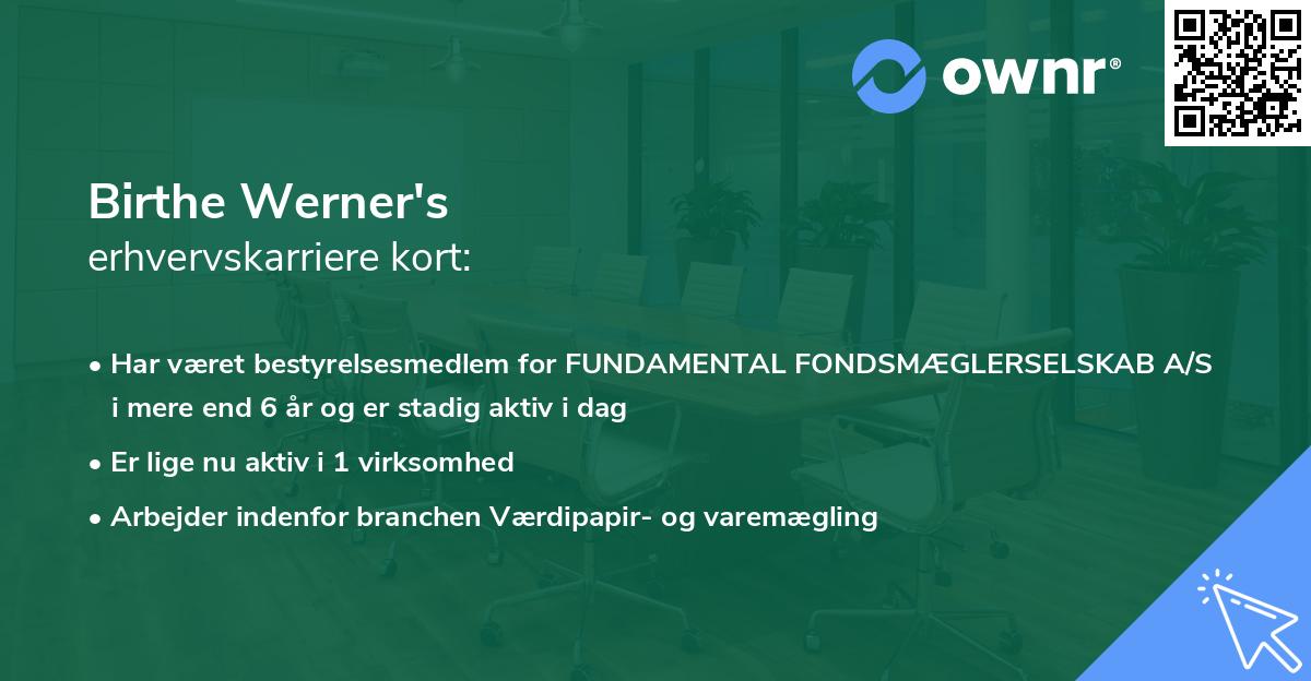 Birthe Werner's erhvervskarriere kort