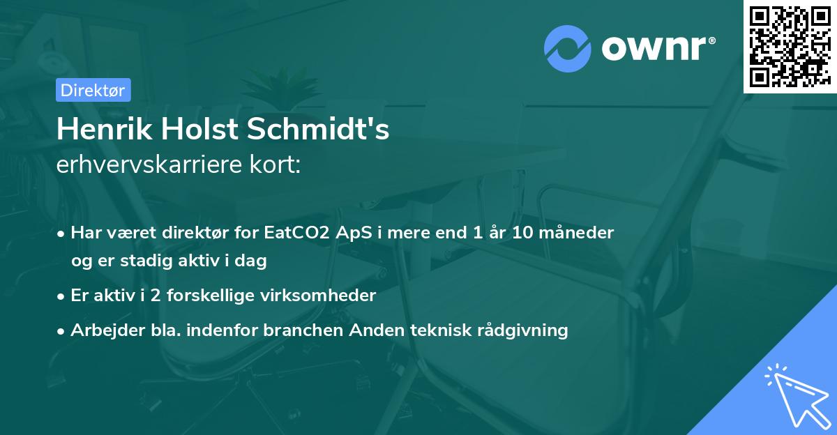 Henrik Holst Schmidt's erhvervskarriere kort