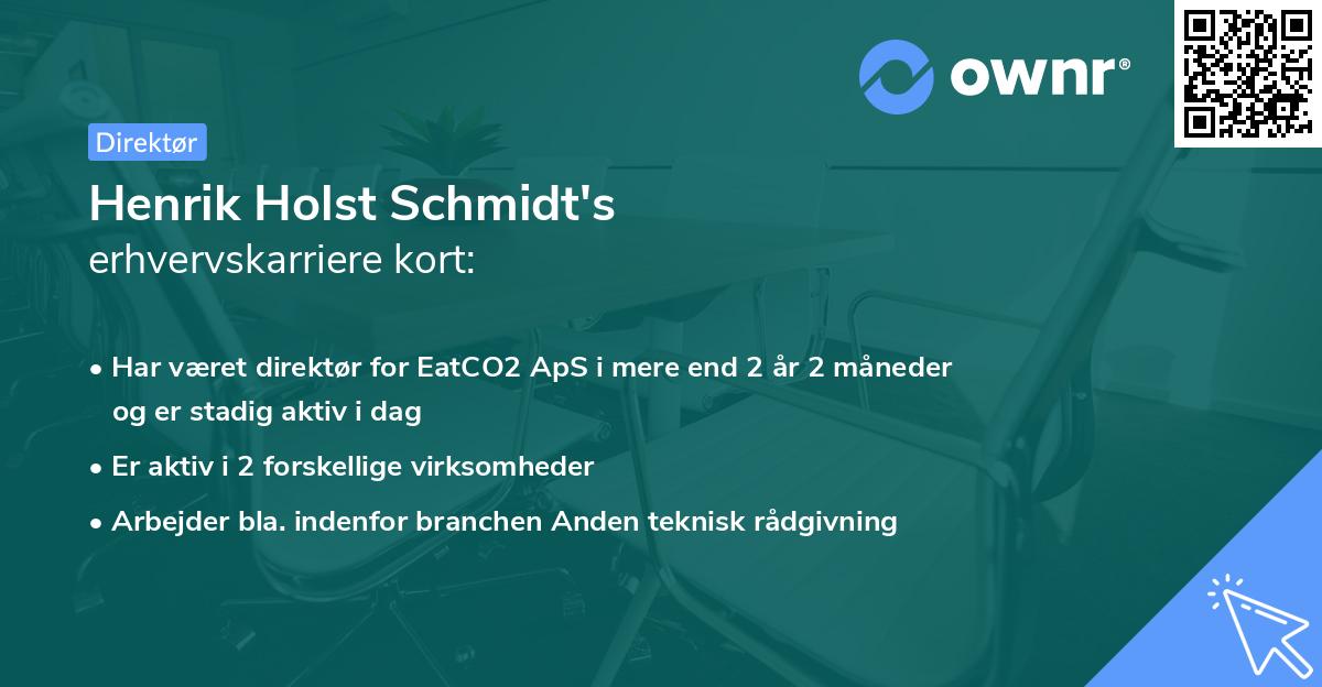 Henrik Holst Schmidt's erhvervskarriere kort