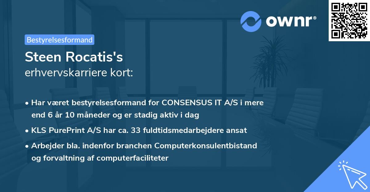 Steen Rocatis's erhvervskarriere kort