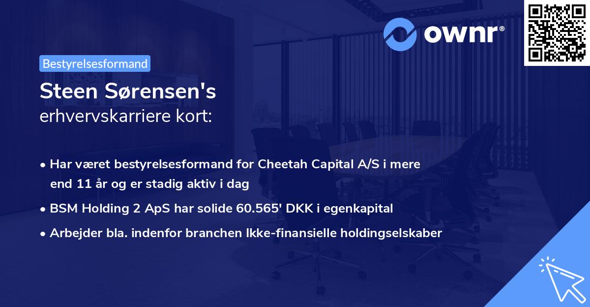 Steen Sørensen's erhvervskarriere kort