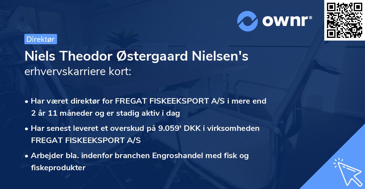 Niels Theodor Østergaard Nielsen's erhvervskarriere kort