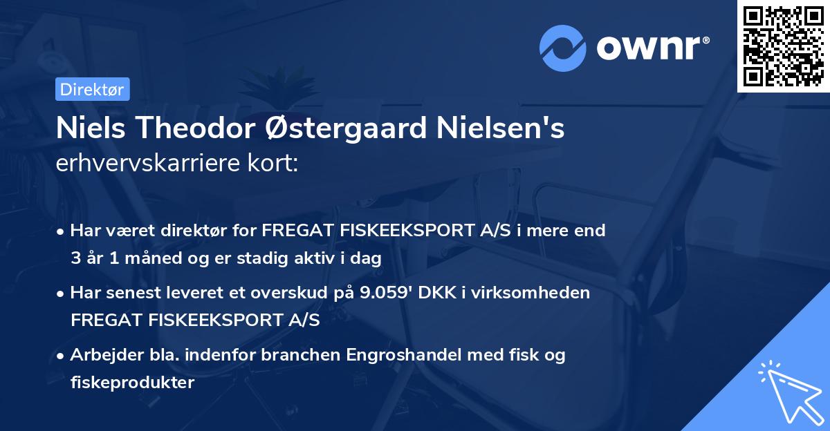 Niels Theodor Østergaard Nielsen's erhvervskarriere kort