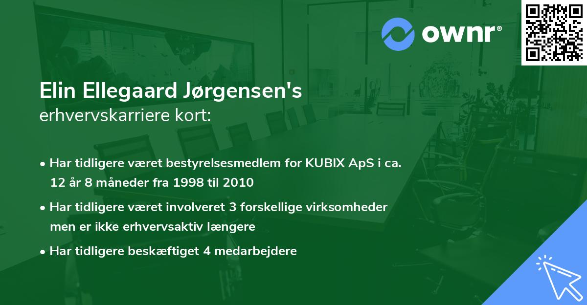 Elin Ellegaard Jørgensen's erhvervskarriere kort