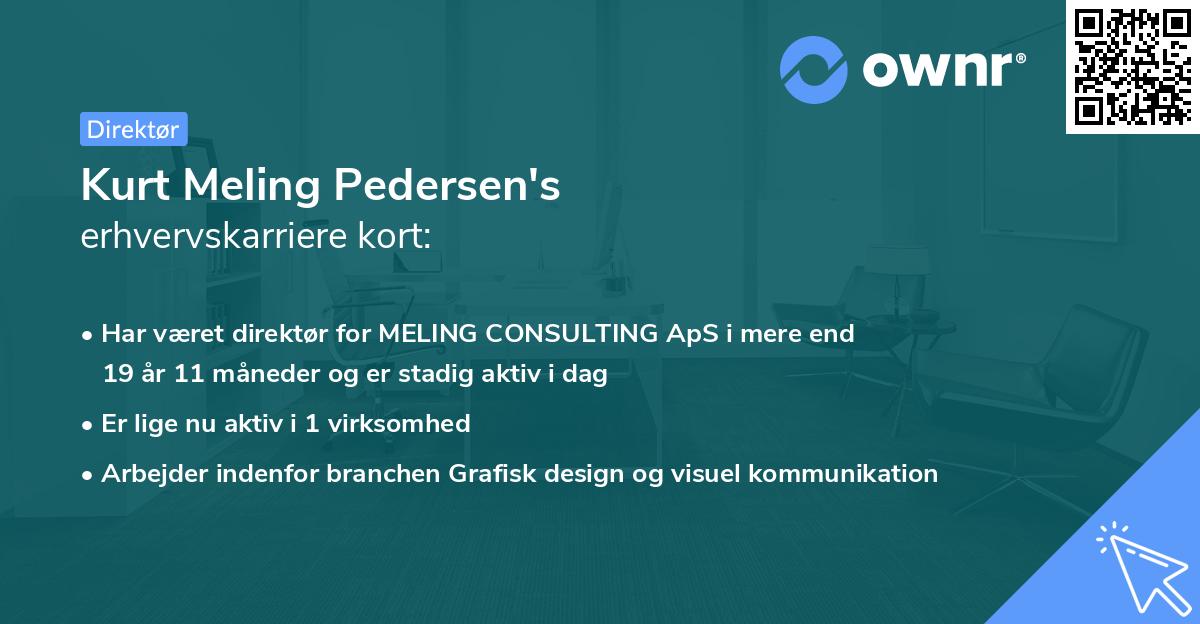 Kurt Meling Pedersen's erhvervskarriere kort