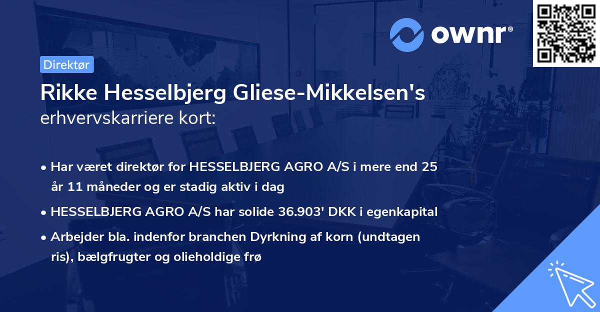 Rikke Hesselbjerg Gliese-Mikkelsen's erhvervskarriere kort