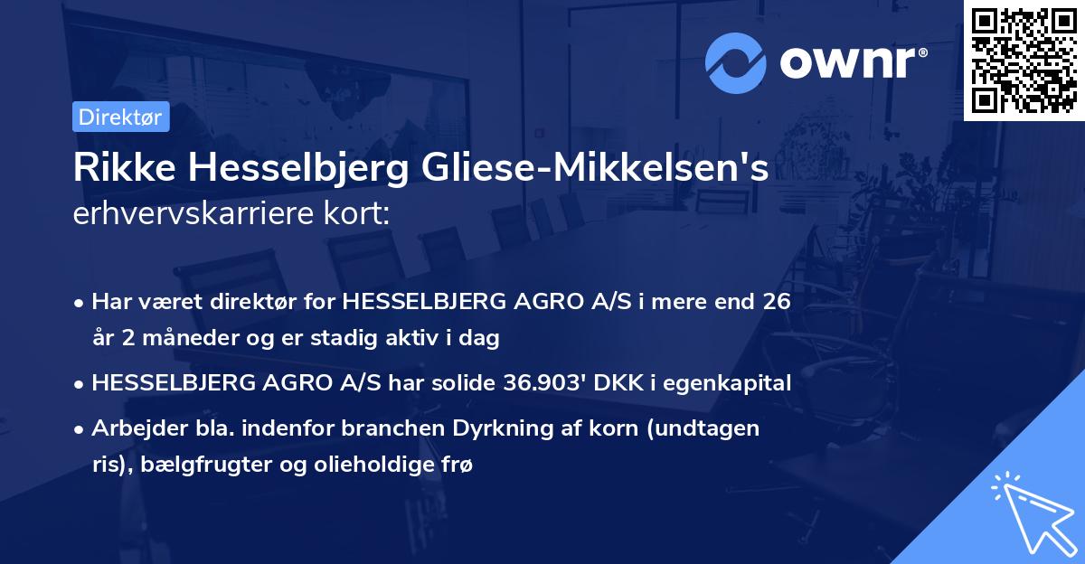 Rikke Hesselbjerg Gliese-Mikkelsen's erhvervskarriere kort