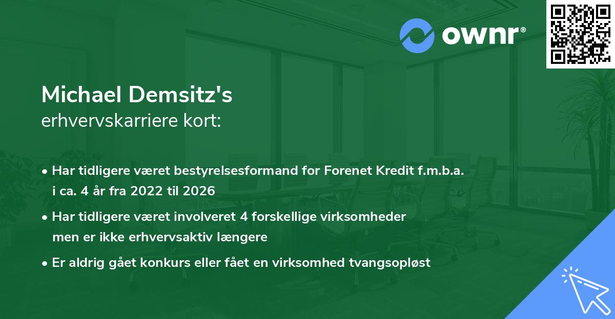 Michael Demsitz's erhvervskarriere kort
