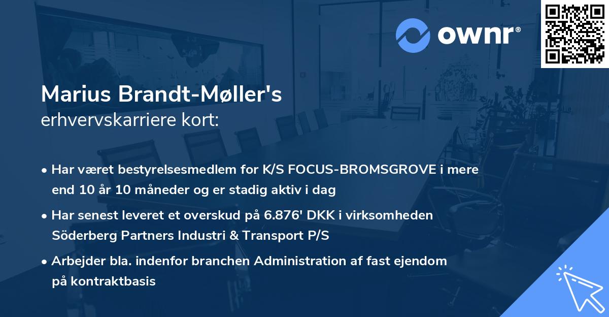 Marius Brandt-Møller's erhvervskarriere kort