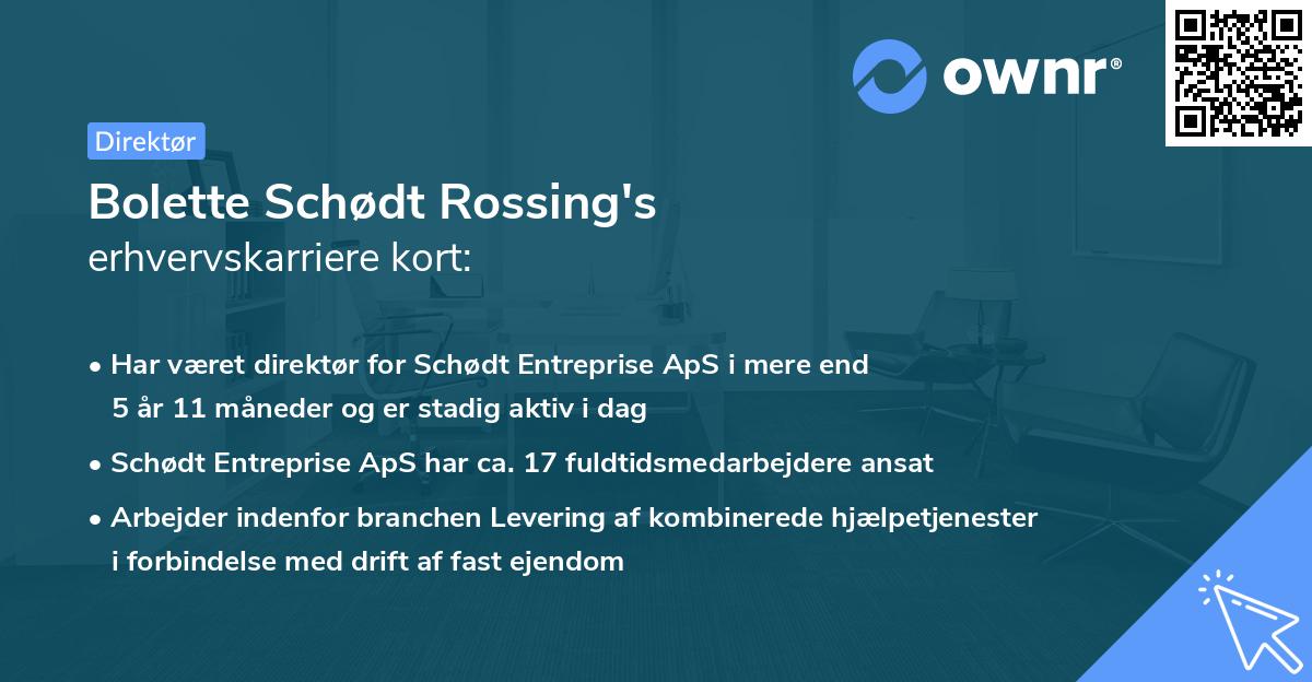 Bolette Schødt Rossing's erhvervskarriere kort