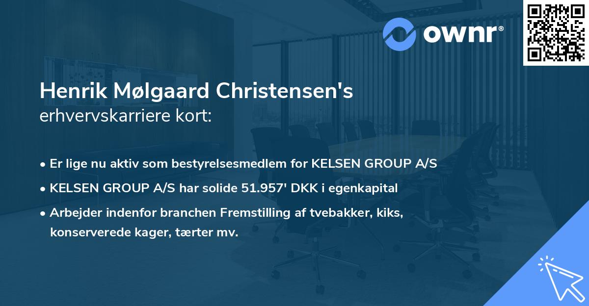 Henrik Mølgaard Christensen's erhvervskarriere kort